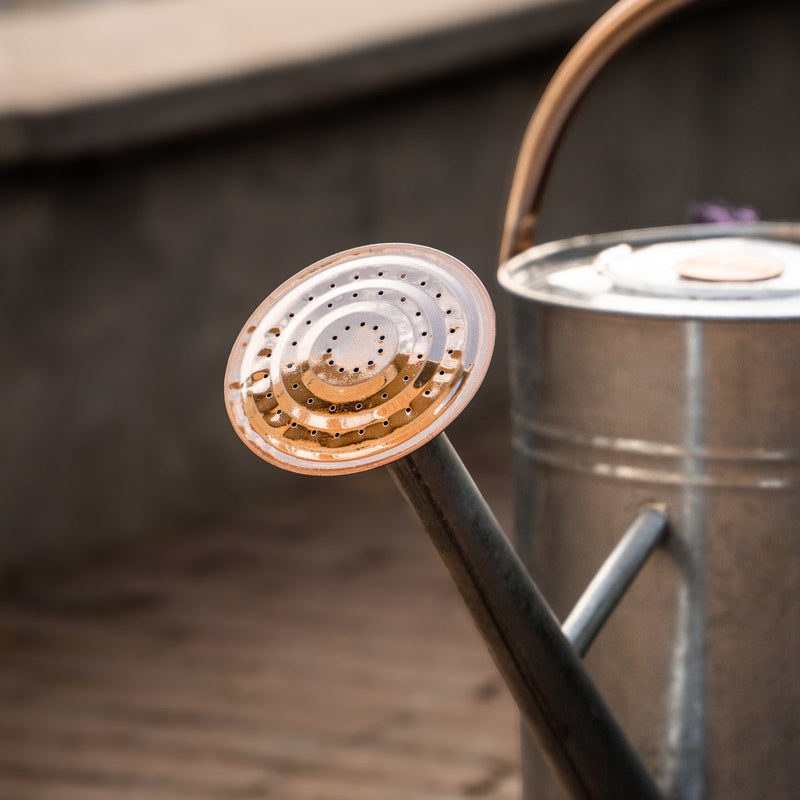 Metalen gieter met koperkleurige broes