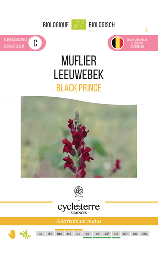 Bocca di leone 'Black Prince'