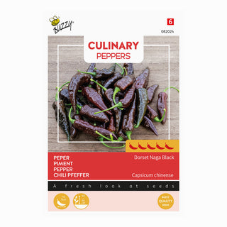 Peperoncini  'Naga Black'