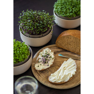Vassoio di germinazione Microgreens