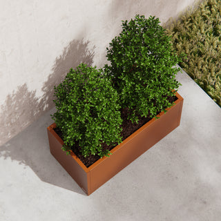 Cassetta per orto in Corten 50