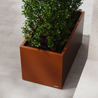 Cassetta per orto in Corten 50