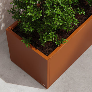 Cassetta per orto in Corten 50