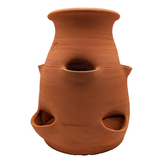Vaso per fragole in terracotta