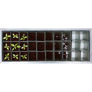 Zaaitray Metaal Potten Blank