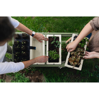 GROWbench Tavoli da rinvaso