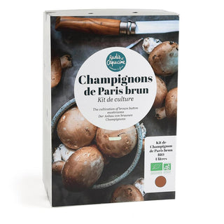 Champignon bruni BIO