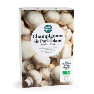 Champignon bianchi BIO