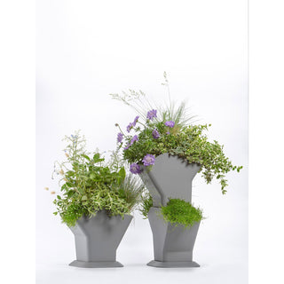 Torre di coltivazione auto-irrigante