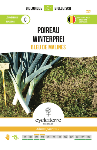 Winterprei ' Bleu de Malines '