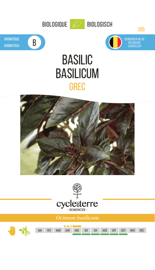 Griekse basilicum, Cycle en terre 