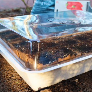 Orto rialzato Eco (incl. 30 vasetti in torba)