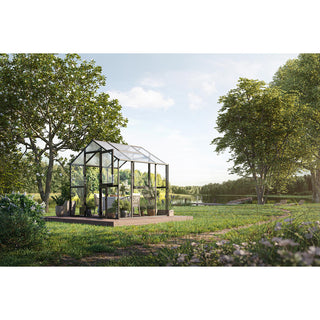 KGT Aptasia Greenhouse Kas Serre