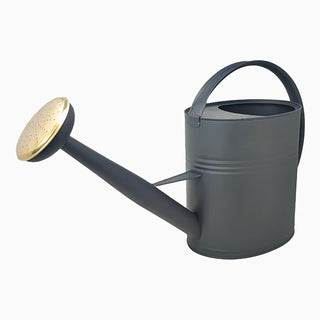 Annaffiatoio design 10L