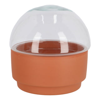 Vassoio di germinazione in terracotta/vetro