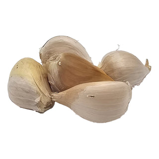 Aglio elefante (5 pezzi)