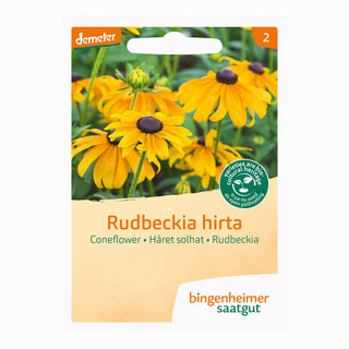 Rudbeckia cappello del sole