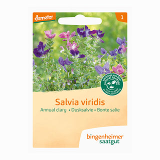 Salvia multicolore - mix