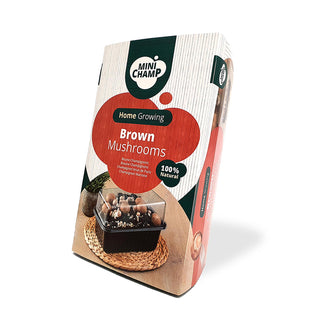 Champignon castagna BIO