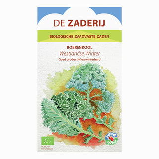 Boerenkool 'Westlandse Winter' De Zaderij 