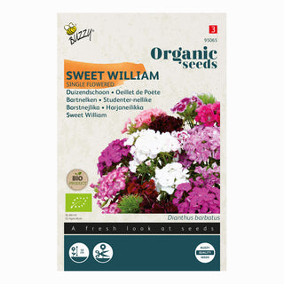 Garofano dei poeti Sweet William