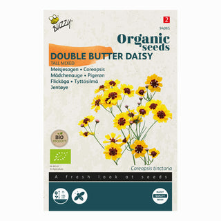 Coreopsis (Coreopsis)