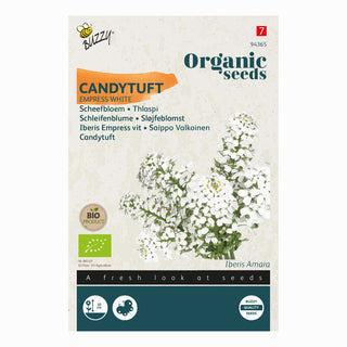 Iberide Empress bianca