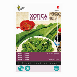 Xotica Komatsuna 'spinacio di senape'