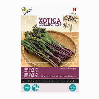 Xotica Choy Sum viola 'Hon Tsai Tai'