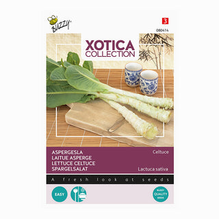 Xotica Lattuga asparago