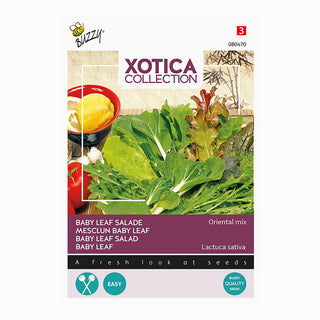 Xotica Mix di insalate 'Oriental Mix'