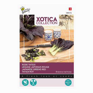 Xotica Tatsoi rosso