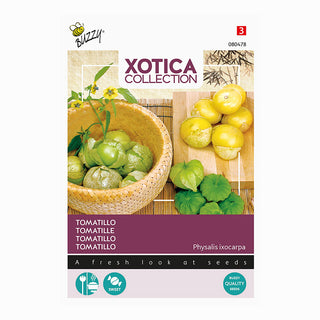 Xotica Tomatillo 'alchechengi messicano'