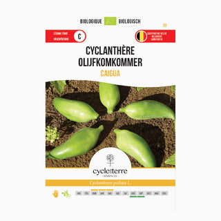 Cetriolo d'olivo 'Cyclanthera Caigua'