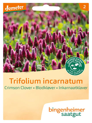 Incarnaat klaver - Bingenheimer saatgut