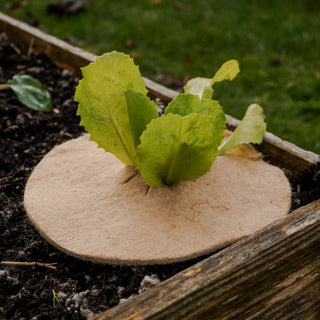 Disco pacciamante in iuta