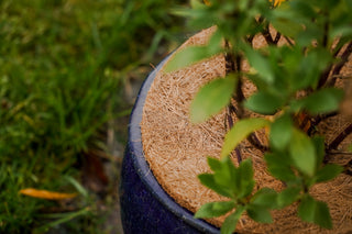 Protezione antigelo in cocco