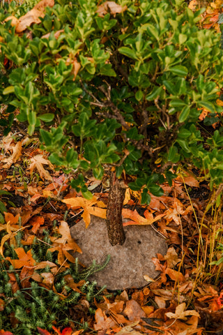 Anello pacciamante in lana (3)