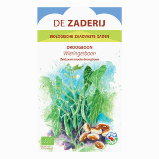 Fagiolo secco rampicante 'Wieringer boon'
