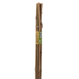 Bamboestok 90cm 8-10mm (8) - Esschert Design 