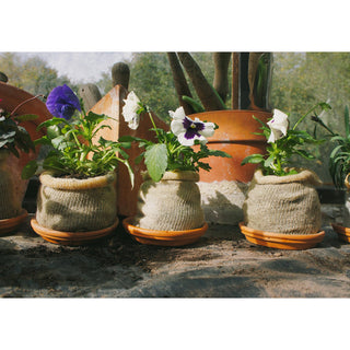 Vaso di coltivazione in lana BIO (10)