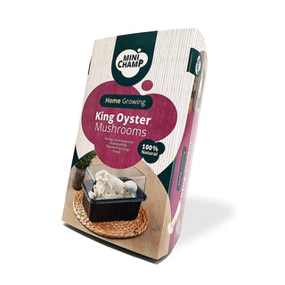 Fungo ostrica reale BIO