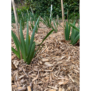 Miscanthus Mulch 70L BioKultura