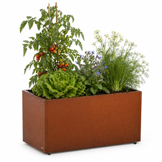 Cassetta per orto in Corten 50
