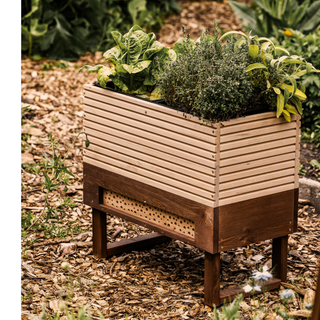 Tavolo da coltivazione + hotel per insetti M