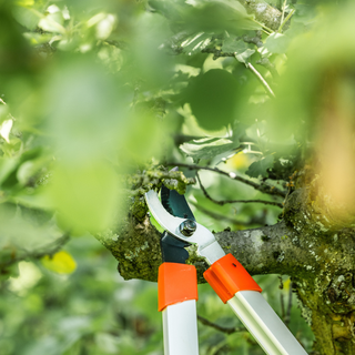 Troncarami leggero (taglio passante)