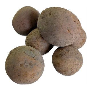 Patata da semina BIO Oscar 1kg