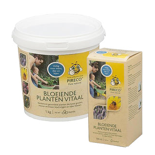 Bloeiende Planten Vitaal