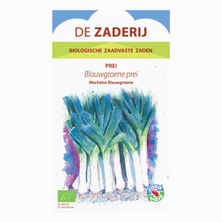 Porro 'Mechelse Blauwgroene'