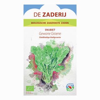 Bietola da coste 'Gewone groene'